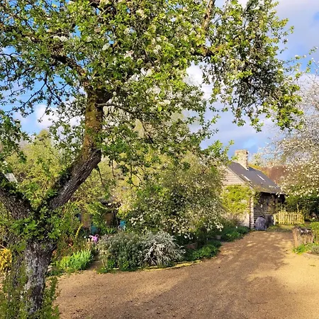 Maison De Charme Normande Avec Jardin Et Wifi Sainte-Opportune