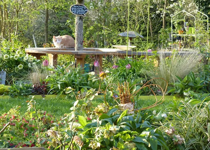 Maison De Charme Normande Avec Jardin Et Wifi - Fr-1-497-220 * Sainte-Opportune