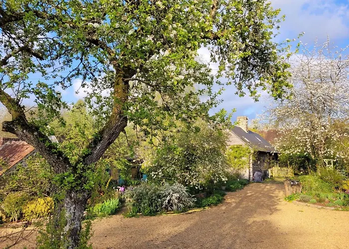 Maison De Charme Normande Avec Jardin Et Wifi - Fr-1-497-220 Sainte-Opportune